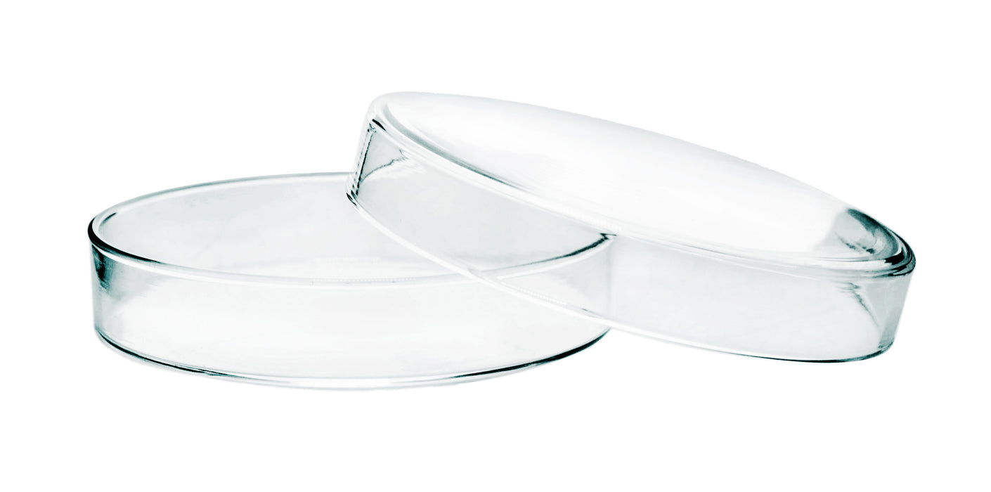 Petri Dish - 150 x 25mm - Soda Glass