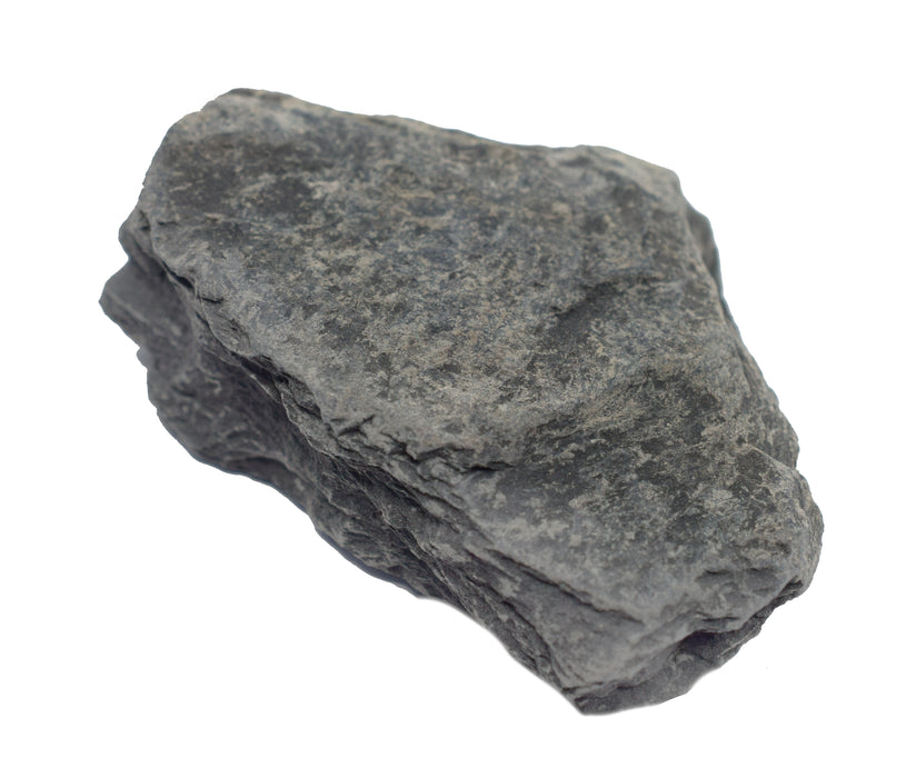Raw Carbonaceous Shale, Sedimentary Rock Specimen - Approx. 1"