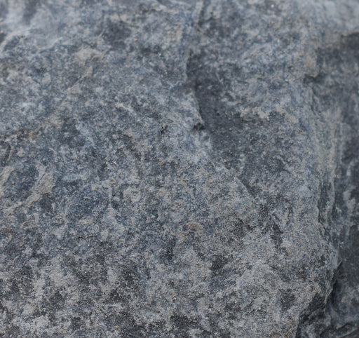 Raw Carbonaceous Shale, Sedimentary Rock Specimen - Approx. 1"