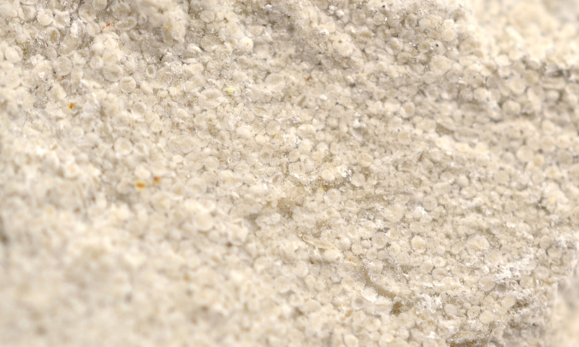 Oolitic Limestone, Sedimentary Rock Specimen - Approx. 1"