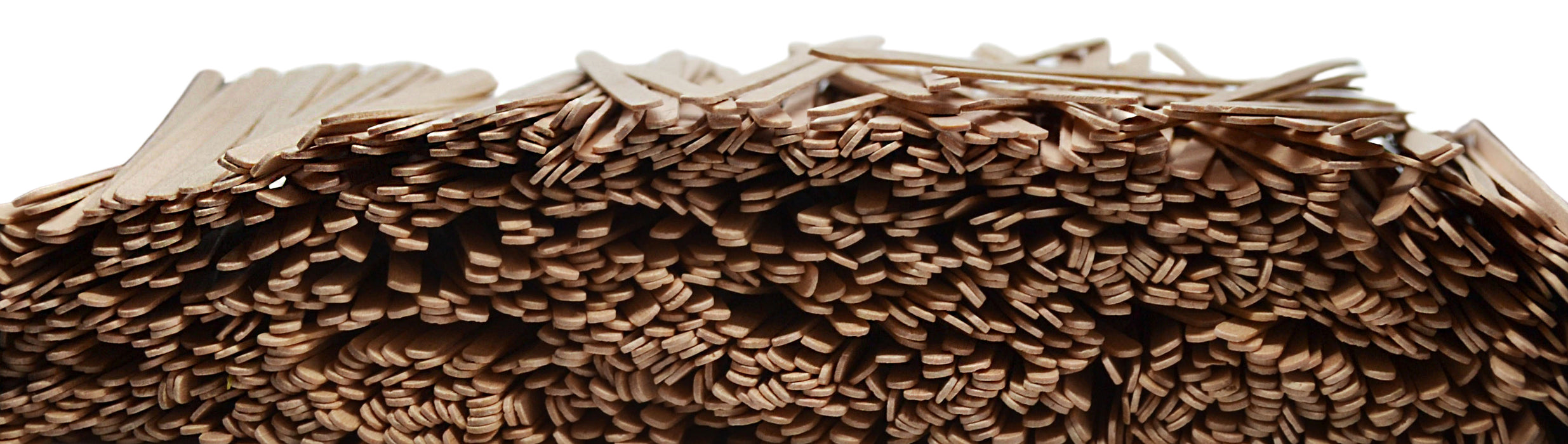 1000PK Splints, 6 Inch - For Various Scientific Uses - Soft Drywood - Eisco Labs