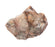 6 Pack - Raw Breccia, Sedimentary Rock Specimen - Approx. 1"