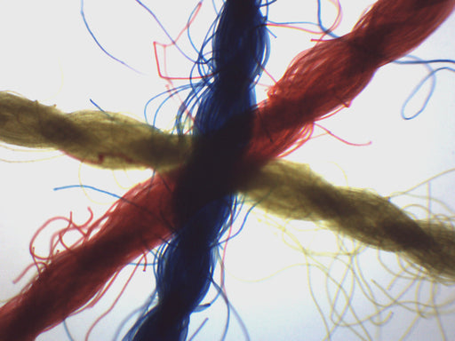 Crossed, Colored Threads - Prepared Microscope Slide - 75x25mm