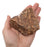 Raw Breccia, Sedimentary Rock Specimen - Hand Sample - Approx. 3"