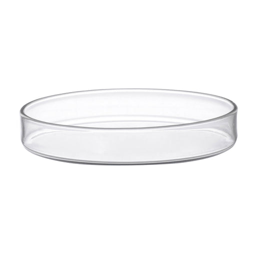 Petri Dish, 3" (80mm) - Beaded Edges - Soda Glass