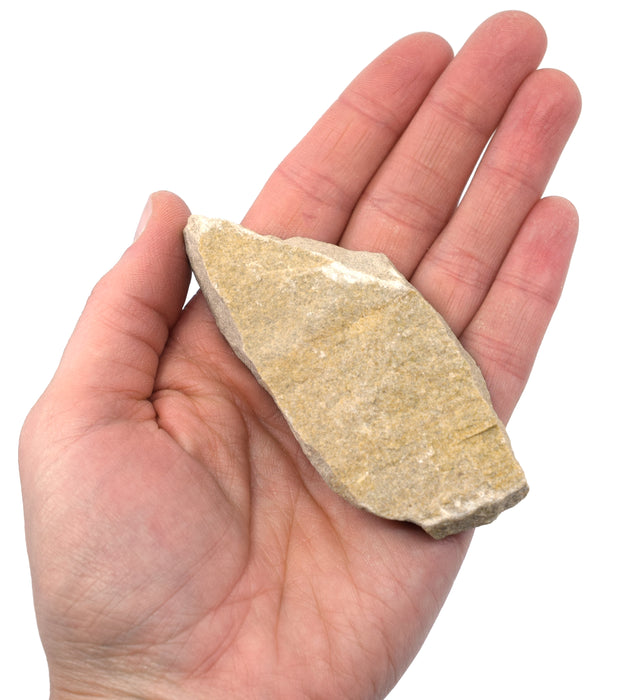 Raw White Sandstone, Sedimentary Rock Specimen - Hand Sample - Approx. 3"