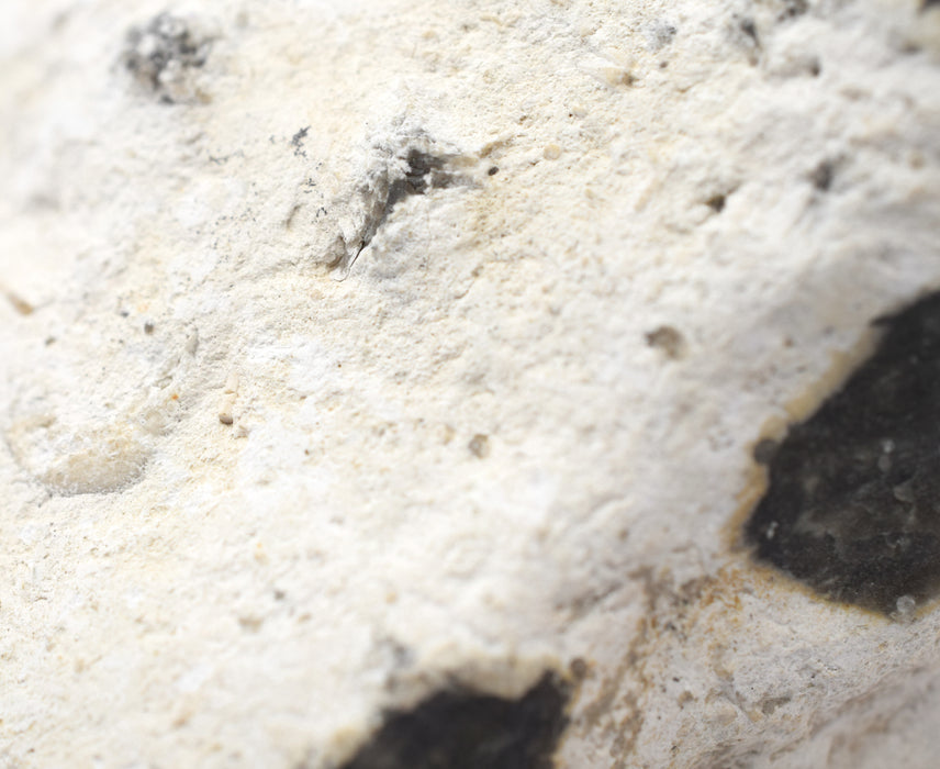 Raw Chert, Mineral Specimen - Hand Sample - Approx. 3"