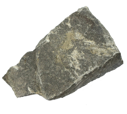 Eisco Argillaceous Shale Specimen (Sedimentary Rock), Approx. 1" (3cm)