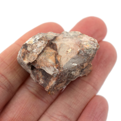 Raw Breccia, Sedimentary Rock Specimen - Approx. 1"