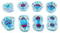 Mitosis Model, Set of 8 Models - Enlarged - 4" x 5.8" Each - Eisco Labs