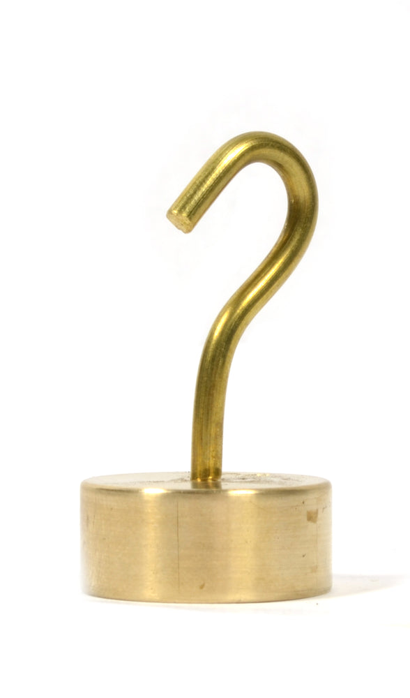Eisco Labs Individual Hooked Weights - Brass - 50g